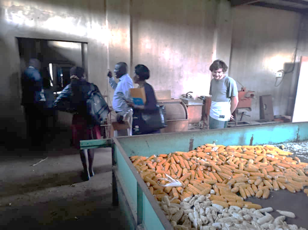 St. Isidoro Farm